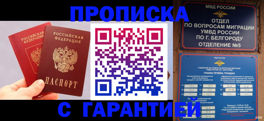 прописка 2025 в Светлогорске